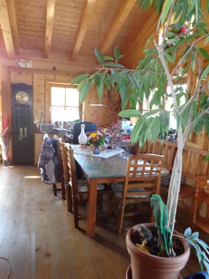 Barrierefreies Zimmer Im Blockhaus Mit Sauna Am See Soyen Kültér fotó